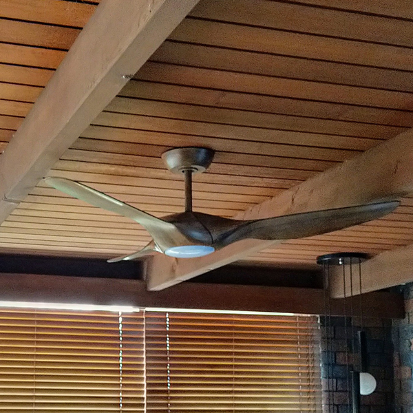 Fanco Origin DC with Koa Blades \u0026 LED 