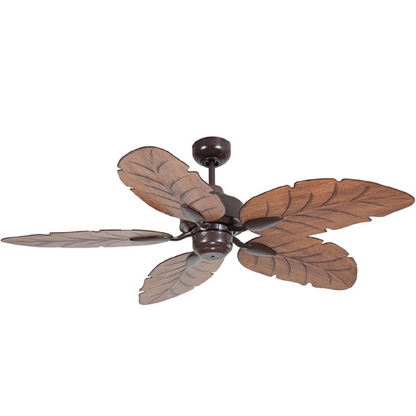 Mercator Cooya Brown 52\