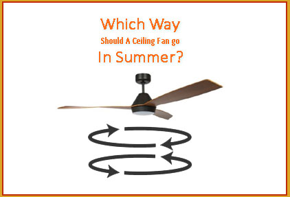 Which Direction Should A Ceiling Fan Go In Summer