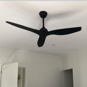 Indoor Ceiling Fans